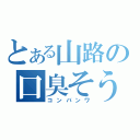 とある山路の口臭そう（コンバンワ）