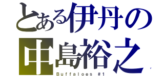 とある伊丹の中島裕之（Ｂｕｆｆａｌｏｅｓ ＃１）