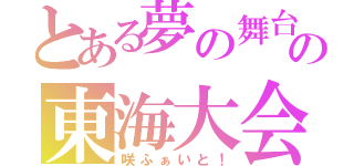 とある夢の舞台の東海大会（咲ふぁいと！）