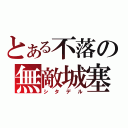 とある不落の無敵城塞（シタデル）