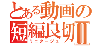 とある動画の短編良切Ⅱ（ミニタージュ）