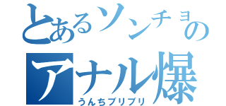 とあるソンチョルのアナル爆発（うんちブリブリ）