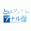 とあるソンチョルのアナル爆発（うんちブリブリ）