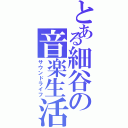 とある細谷の音楽生活（サウンドライフ）