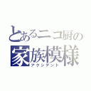 とあるニコ厨の家族模様（アクシデント）