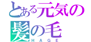 とある元気の髪の毛（Ｈ　Ａ　Ｇ　Ｅ）