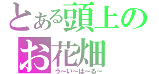 とある頭上のお花畑（う～い～は～る～）