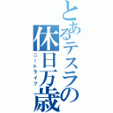 とあるテスラの休日万歳（ニートライフ）