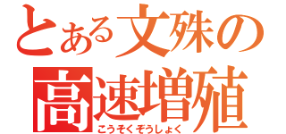 とある文殊の高速増殖（こうそくぞうしょく）