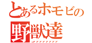 とあるホモビの野獣達（ンア゛ア゛ア゛ア゛ア゛ア゛ア゛ア゛）