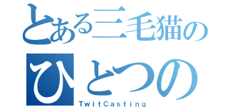 とある三毛猫のひとつの目標（ＴｗｉｔＣａｓｔｉｎｇ）