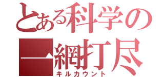 とある科学の一網打尽（キルカウント）