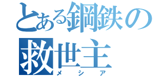 とある鋼鉄の救世主（メシア）