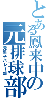 とある鳳来中の元排球部（元男子バレー部）