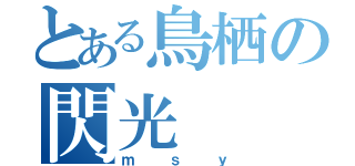 とある鳥栖の閃光（ｍｓｙ）