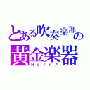 とある吹奏楽部の黄金楽器（Ｈｏｒｎ♪）