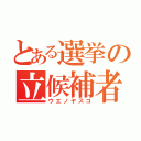 とある選挙の立候補者（ウエノヤスコ）