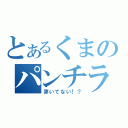 とあるくまのパンチラ（穿いてない！？）