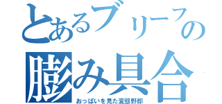 とあるブリーフの膨み具合（おっぱいを見た変態野郎）