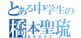 とある中学生の橋本聖琉（ただのチビ）