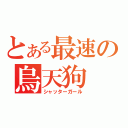 とある最速の烏天狗（シャッターガール）