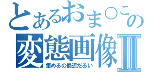 とあるおま○この変態画像Ⅱ（集めるの最近だるい）