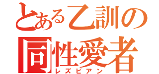 とある乙訓の同性愛者（レズビアン）