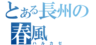 とある長州の春風（ハルカゼ）