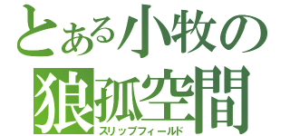 とある小牧の狼孤空間（スリップフィールド）