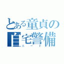 とある童貞の自宅警備（ニート）