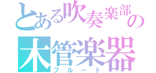 とある吹奏楽部の木管楽器（フルート）