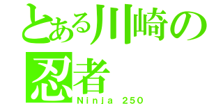 とある川崎の忍者（Ｎｉｎｊａ　２５０）