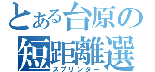 とある台原の短距離選手（スプリンター）