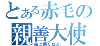 とある赤毛の親善大使（俺は悪くねえ！）