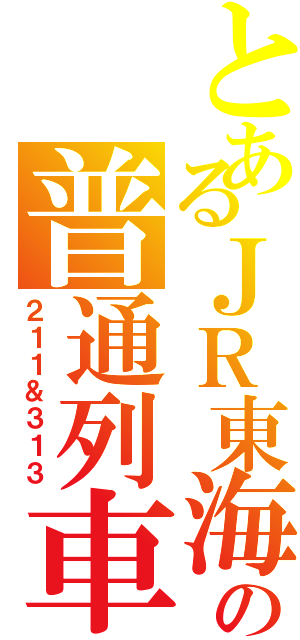 とあるＪＲ東海の普通列車（２１１＆３１３）