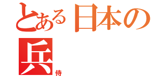 とある日本の兵（侍）