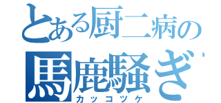 とある厨二病の馬鹿騒ぎ（カッコツケ）