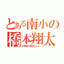 とある南小の橋本翔太（戸塚南小学校だぁぁー）