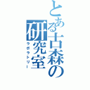 とある古森の研究室（ラボラトリー）