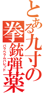 とある九寸の拳銃弾薬（パラベラムバレッド）