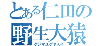 とある仁田の野生大猿（ゲジマユゲヤスイ）