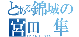 とある錦城の宮田 隼（シソーラス・トゥインクル）