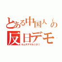 とある中国人（韓国）？の反日デモ（キムチアゲルニダ！）