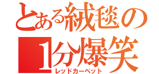 とある絨毯の１分爆笑（レッドカーペット）