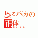 とあるバカの正体（思い知れ）