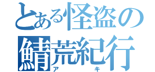 とある怪盗の鯖荒紀行（アキ）