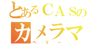 とあるＣＡＳのカメラマン（ベリー）