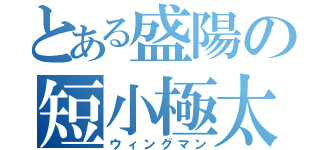 とある盛陽の短小極太（ウィングマン）