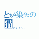 とある染矢の猫（ジャスミン）