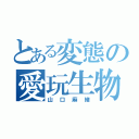 とある変態の愛玩生物（山口麻緒）